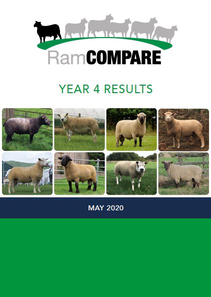 RamCompare Year 4 Results