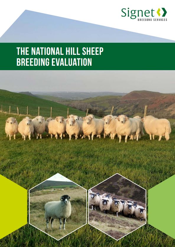 AHDB Hill Sheep Manual